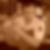 Profilbild von Steve Neubert