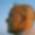 Profilbild von Peter Herbst