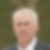 Profilbild von Wilfried Dietz