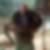 Profilbild von Robby Eismann
