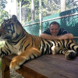 Profilfoto von Steffen Hällmayr