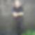 Profilbild von Angelo Kiel