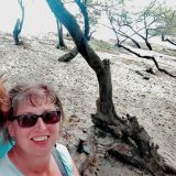 Profilfoto von Mary Ziems