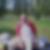 Profilbild von Jens Nawrocka