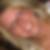 Profilbild von Susanne Danner