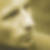 Profilbild von Stev Kirchhof