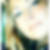 Profilbild von Corinna Schewe
