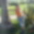 Profilbild von Lidia Knaus