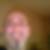 Profilbild von Rainer Ehmsen
