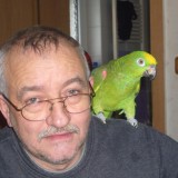 Profilfoto von Karl-Heinz Jenke