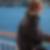 Profilbild von Angela Jacobs