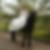 Profilbild von Heike Dellwisch
