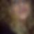 Profilbild von Nadine Mettbach