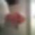 Profilbild von Kai Nicklaus