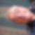 Profilbild von Dieter Lang