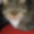 Profilbild von Thorsten Stasch