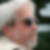 Profilbild von Wolfgang Schmidt