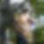Profilbild von Kerstin Eich