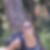 Profilbild von Anne Igel