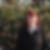Profilbild von Alexandra Eichele