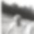 Profilbild von Joachim Neise