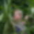 Profilbild von Andrea Reimer