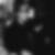 Profilbild von Ben Aland