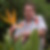 Profilbild von Burkhard Koppitz