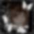 Profilbild von Maren Noack