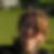 Profilbild von Claudia Mertens