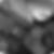 Profilbild von Dresina Cuba