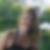 Profilbild von Melanie Strobel