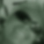Profilbild von Rita Freppon