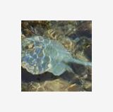 Profilfoto von Manuela Richter