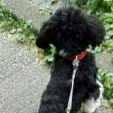 Profilfoto Agnes Christina Küster Profilfoto von Agnes Christina Küster