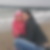 Profilbild von Kathleen Klaeve