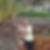 Profilbild von Norman Nickol