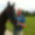 Profilbild von Reiner Bludau