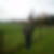 Profilbild von Michael Raddas