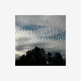 Profilfoto Daisy Miller Profilfoto von Daisy Miller