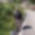 Profilbild von Henry Gohl