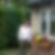 Profilbild von Katja Just