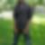 Profilbild von Daniel Friedrich