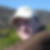 Profilbild von Ulrich Gruenwald