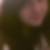 Profilbild von Maria Anna