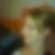 Profilbild von Manuela Hornung