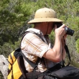 Profilfoto von Nils Holstein