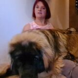 Profilfoto von Melanie Heinz