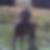 Profilbild von Horia Badita
