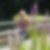 Profilbild von Simone Heinze